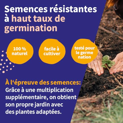 Photo complémentaire