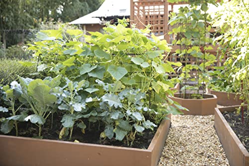 Gardeners Supply Company Deluxe Cucumber Trellis | Easy To Install Raised Garden Bed Cucumbers & Climbing Plants A-Frame Trellis | Outdoor Plant Support W/ 4" Grids For Easy Harvesting | 32"Wx46"H Red #TOP7