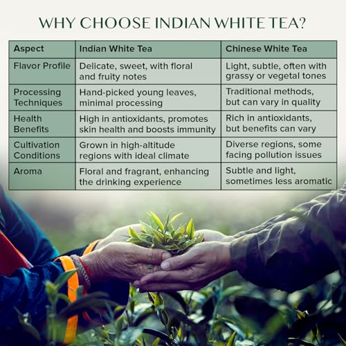 Image of VAHDAM, Darjeeling Pearl White Tea | 100% Pure Unblended White Tea Loose Leaf | 1.76oz (25 Cups)