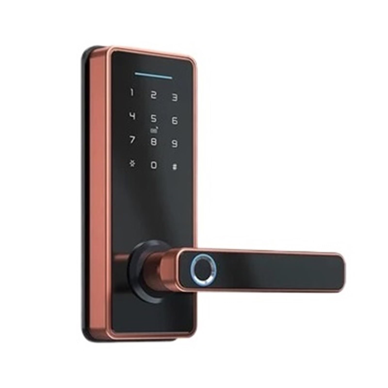 Tuya APP Verstecktes Schrankschloss Biometrisches Smart-Fingerabdruck-elektronisches Passwort RFID-Kartentürschloss Einfache Hohe Sicherheit(T2-R-6070)