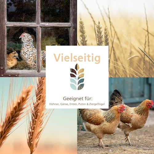 Carl Wolf Legestruktur - 3 kg - Alleinfuttermittel für Legehennen & Hühner - mit Karotte & Oregano - enthält wichtigen Nährstoffe