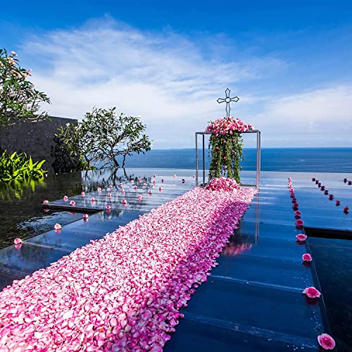 Happium 1000 petali di rosa in seta per feste e