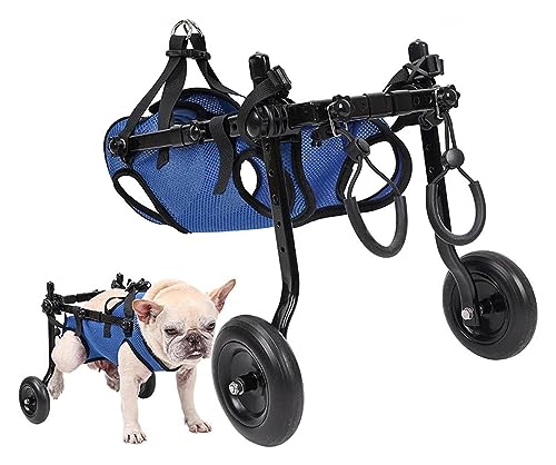 Silla de ruedas para perros pequeños discapacitados, ayuda para su movilidad