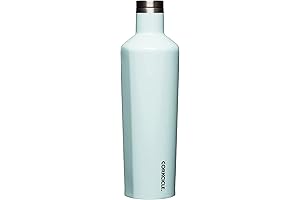 Pure Taste Corkcicle Canteen: Your Hydration Companion