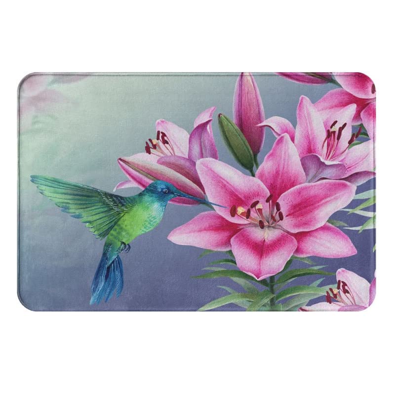 Bird Hummingbird with Pink Flower Indoor Doormat Durable Welcome Front Door Mats Entryway Rugs Non-Slip Absorbent Area Rugs Resist Dirt Carpet for Room Decor 16 * 24in/40 * 60cm