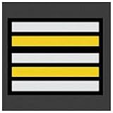  Dienstgradabzeichen Frankreich Feuerwehr Lieutenant-Colonel