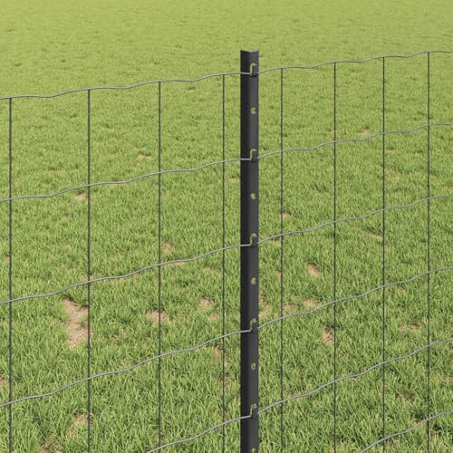 Grillage pour souris et campagnol en acier gris de 1x25 m