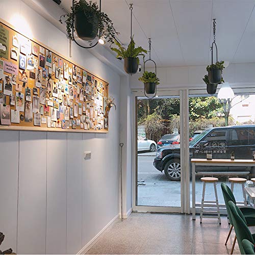 Sinolodo Boho Wall Hanging Planter,Metal Hanging Flower Pots,Window Hanging Plant Holder For Indoor Outdoor Plants Home Office Decor(2Pcs-Black Oval) #TOP6