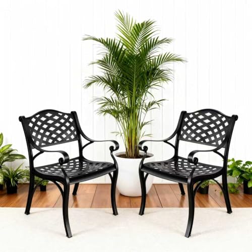 PATIO-IN Cast Aluminum Patio Chairs of 2, Outdoor Dining Chairs Set, Aluminum Patio Chairs with Armrest for Garden, Backyard, Poolside, Balcony