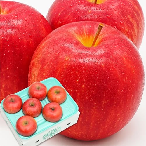 【糖度13度前後】 長野県 長野県産 信州りんご リンゴ ギフト プレゼント 贈答用 ご家庭用 西村青果 (2.8kg)