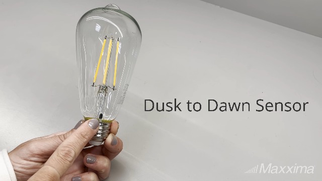 Maxxima ST19 Dusk to Dawn LED Edison Light Bulb, 60 Watt