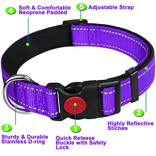 ATETEO Dog Collar, Reflective Adjustable Basic Dog Collar with Soft Neoprene Padding, Durable Nylon Pet Collars for Puppy Large Dogs - Image 2