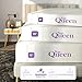 NapQueen 8 Inch Twin Size Mattress, Bamboo Charcoal Memory Foam Mattress, Bed in a Box