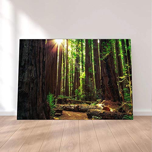 104Tdfc XXL Sin Marco Cuadro en Lienzo 120x80cm Amanecer en Las secoyas 1 Pieza Cuadros Decoracion Salon Modernos Dormitorio Impresión Pintura Moderna Arte