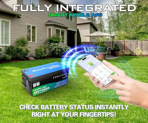 Image of 48 Volt 100Ah Lithium Golf Cart Battery, 48V LiFePO4 Battery with 10A Charger, Gauge, 200A BMS, 4000+ Cycles, 4.8 kWh Energy, Perfect for Golf Cart, RV, Marine, Lawn Mower