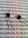 2N6718L / Transistor / 2 Pieces (qzty)
