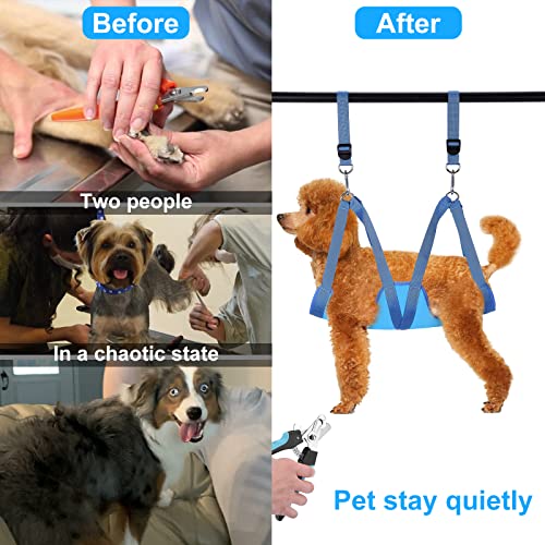 Video Automatic Pet Feeder With Hd Camera & Dog Grooming Hammock, Pet Grooming Harness For Dogs&Cats, #TOP7
