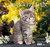  ... geliebte Kätzchen Kalender 2015