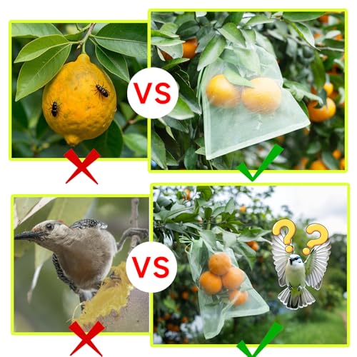 Image of 100PCS Fruit Protection Bags with Drawstring, 6x8 Inch Green Organza Produce Bags for Fruit Trees, Mesh Netting for Garden Protection