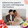 Glade PlugIns Refills Air Freshener, Scented and Essential Oils for Home and Bathroom, Hawaiian Breeze & Vanilla Passion Fruit, 1.34 Fl Oz, 2 Count #3