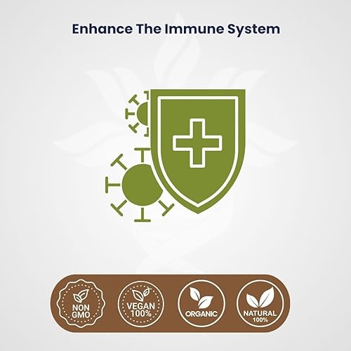 Miniatura 3 de AZ BIOTECH Reishi Mushroom 90 cápsulas, potente suplemento de hongos para apoyo y defensa del sistema inmunológico por Double Wood, salud cardíaca,