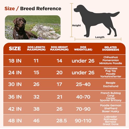 Image of BestPet | Dog Crate | 48 inch | Black | Foldable Metal Kennel with Single Doors