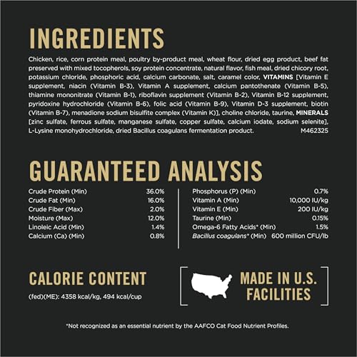 Best food-with-probiotics contrast product option for cat digestive support