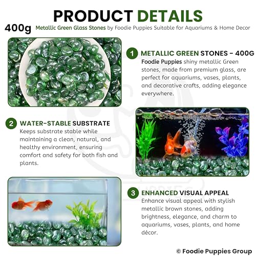 Image of Foodie Puppies Flat Glass Clear Stone (400gm, Metallic Blue) (2cm - 2.5cm) for Aquariums, Fireplace, Firepit Glass for Indoor and Outdoor, Vase Filler, Hydroponics Plants, Home Decor and DIY Craft