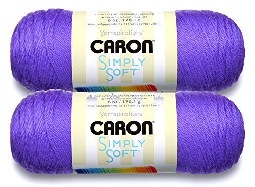 Image of Bulk Buy: Caron Simply Soft Yarn Solids (2-Pack) (Grape)