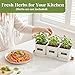 PERFNIQUE Indoor Herb Garden, Herb Planter Set with Tray, Farmhouse Indoor Plant Pots, Windowsill Herb Garden with Drainage(Planter only) for Indoor/Outdoor, Window Pots(White)