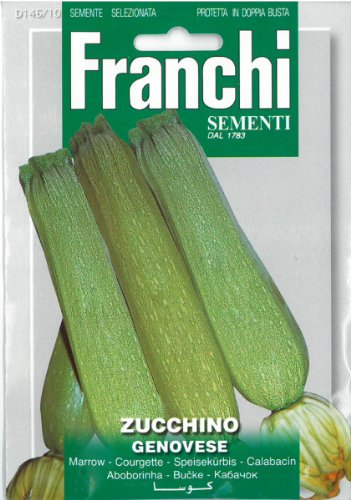 Franchi Courgette - Zucchino Genovese