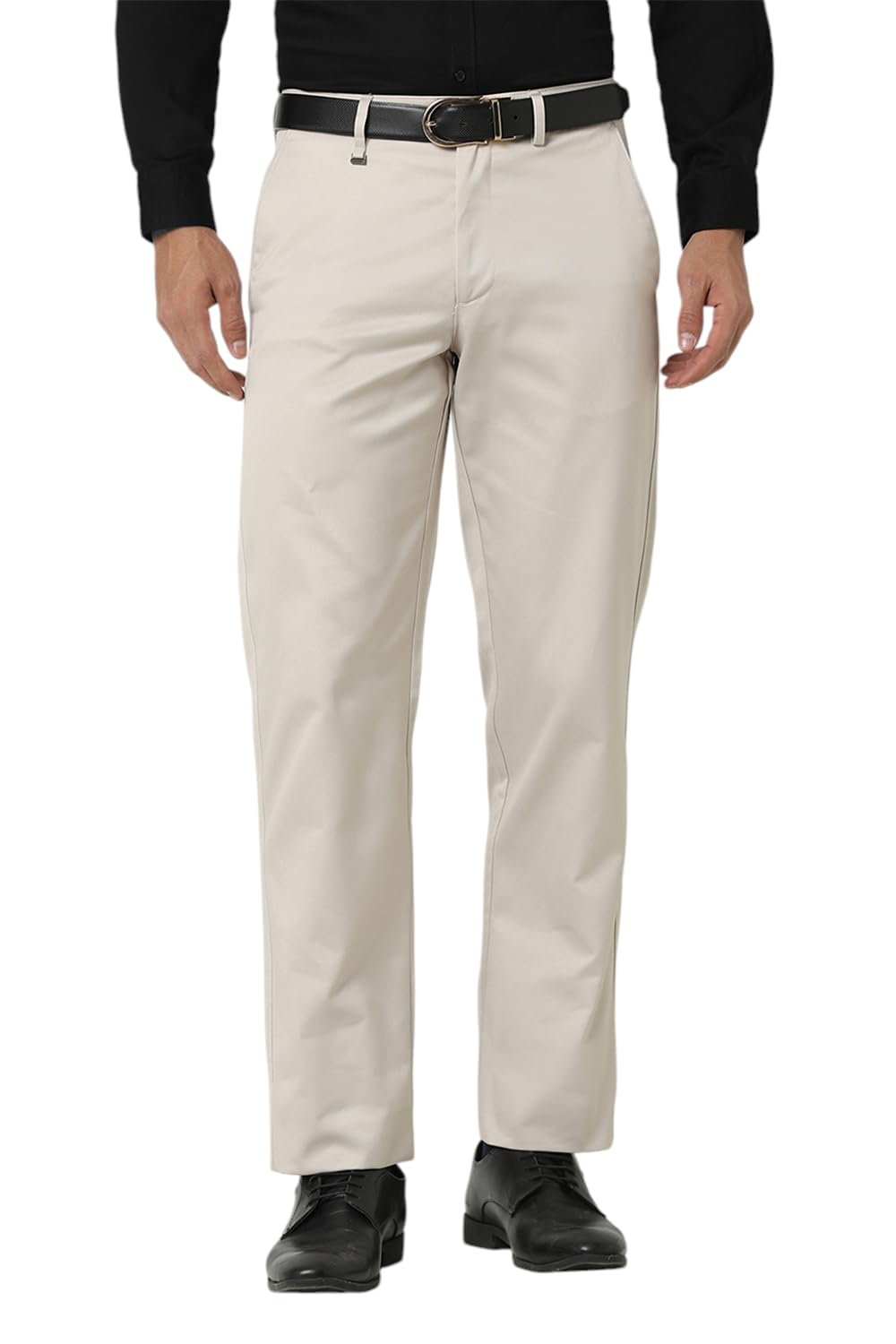 van heusen Men's Regular Pants-picture-11