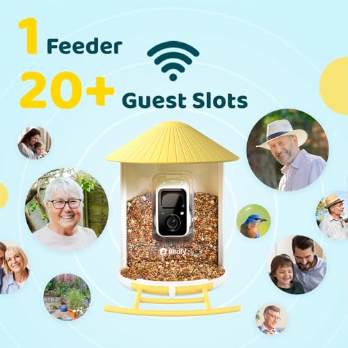 Image of NETVUE by Birdfy Smart Bird Feeder with 2K AI Camera Solar Powered, 3MP Wireless Wildbird Watching, Live Stream & Night Vision, Auto-Capture & Notify, Collection & Cloud Storage (AI by Subscription)