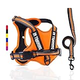🐩【KEIN ZIEHEN, KEIN CHOKE】⭐ Das nicht ziehende Hundegeschirr wurde speziell entwickelt, bei dem der Zugdruck gleichmäßig auf den Körper verteilt wird, um ein Ziehen und Ersticken zu verhindern. Das Hundewestengeschirr hat einen verstellbaren Brustgurt mit Schnappverschluss, bewegt seine Körperteile frei, passt sich dem Wachstum Ihres Hundes individuell an und muss es nicht immer wechseln. Das BACK-Modell eignet sich hervorragend für gemütliche Spaziergänge, Joggen, Wandern usw.
