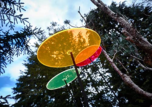 Cazador del Sol®, Collettore sole medio, 2 pezzi