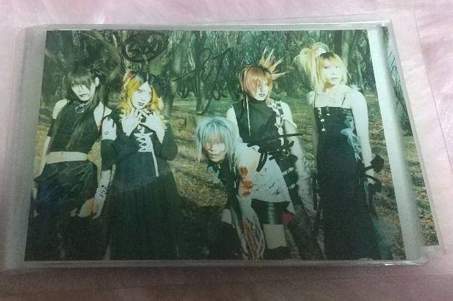 ヴィドール 直筆サイン入りポスター レア！V系バンド 特典