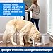 PetSafe Teach und Treat Ferngesteuerter Belohnungstrainer für Hunde, Training und Positive Verstärkung, 4 D Batterien nötig, Grau.