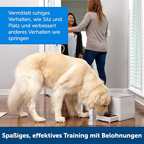 PetSafe Teach und Treat Ferngesteuerter Belohnungstrainer für Hunde, Training und Positive Verstärkung, 4 D Batterien nötig, Grau.