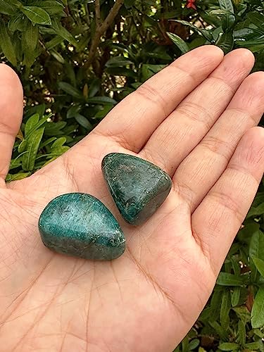 Image of GAF TREASURES 1 /2 LB Apatite Tumbled Stones, Polished Apatite Gemstone, Apatite Healing Crystals (Apatite)