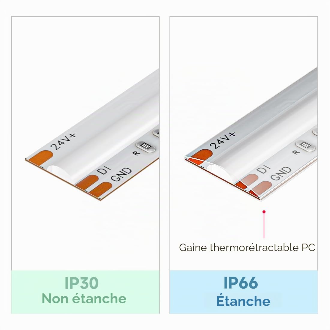 BTF-LIGHTING FCOB COB Ruban LED RGBCCT Double IC 5M 840LED/m 24V IP66 10mm
