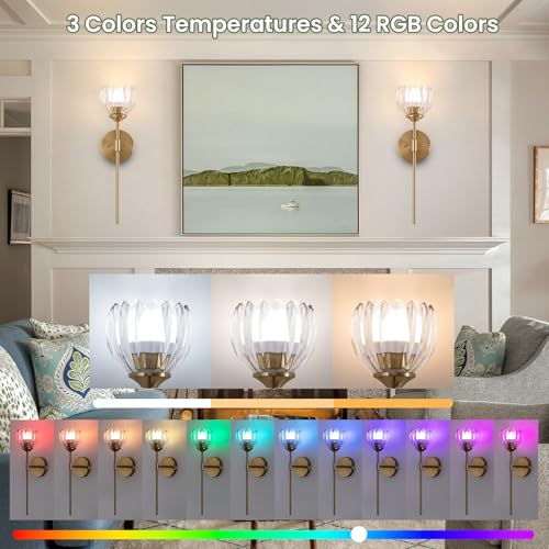 Image of Vintage Battery Operated Wall Sconce Set of 2,Rechargeable Wall Lights with RGB Dimmable Detachable Bulbs and Remote,LED Wireless Wall Lamps for Bedroom Living Room Hallway