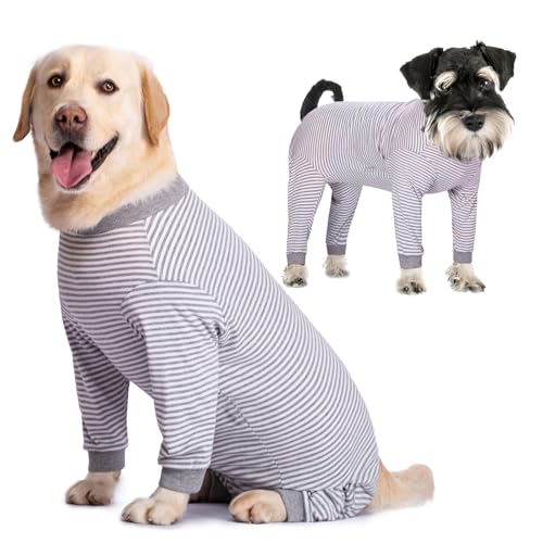 Yeapeeto Body Chien Post Operatoire Combinaison de Convalescence chirurgicale pour Chiens de Grande Taille et Moyenne (Gris,XL)