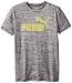 PUMA Big Boys' No.1 Logo Tee, Coal Heather Grey, 14-16 (Large)