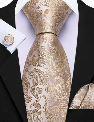 Image of Barry.Wang Paisley Tie Fashion Set Hanky Cufflinks Neckties for Men Woven Silk
