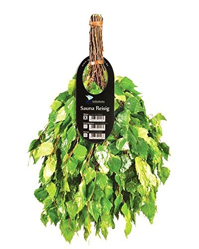 Well Solutions Sauna Reisig Saunaquast (Birke) Cover