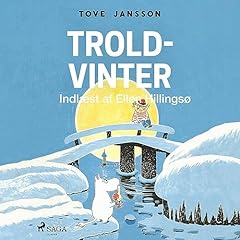Couverture de Troldvinter