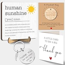 Inspirational Gifts for Women Men Employee, Motivational Human Sunshine Definition Desk Sign, Mental Health Home Office Decor, Appreciation Keychain, Pocket Hug Token for Coworker Leader Teacher FF758