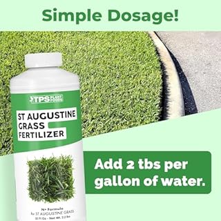 St Augustine Grass Fertilizer – Liquid Lawn Food for Thicker Turf, Strong Stolons & Rich Green Growth, 32 oz