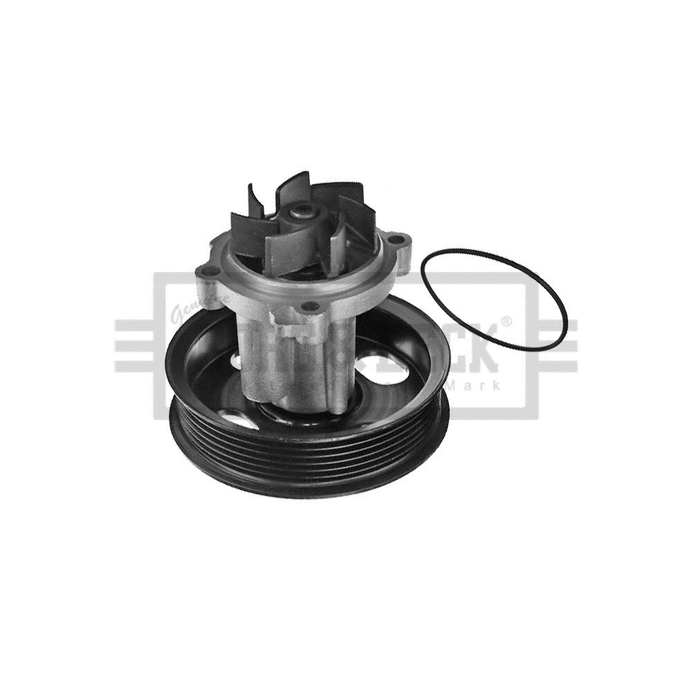 For CITROEN NEMOMPV AA 2008 on BORG & BECK Water Pump BWP2235