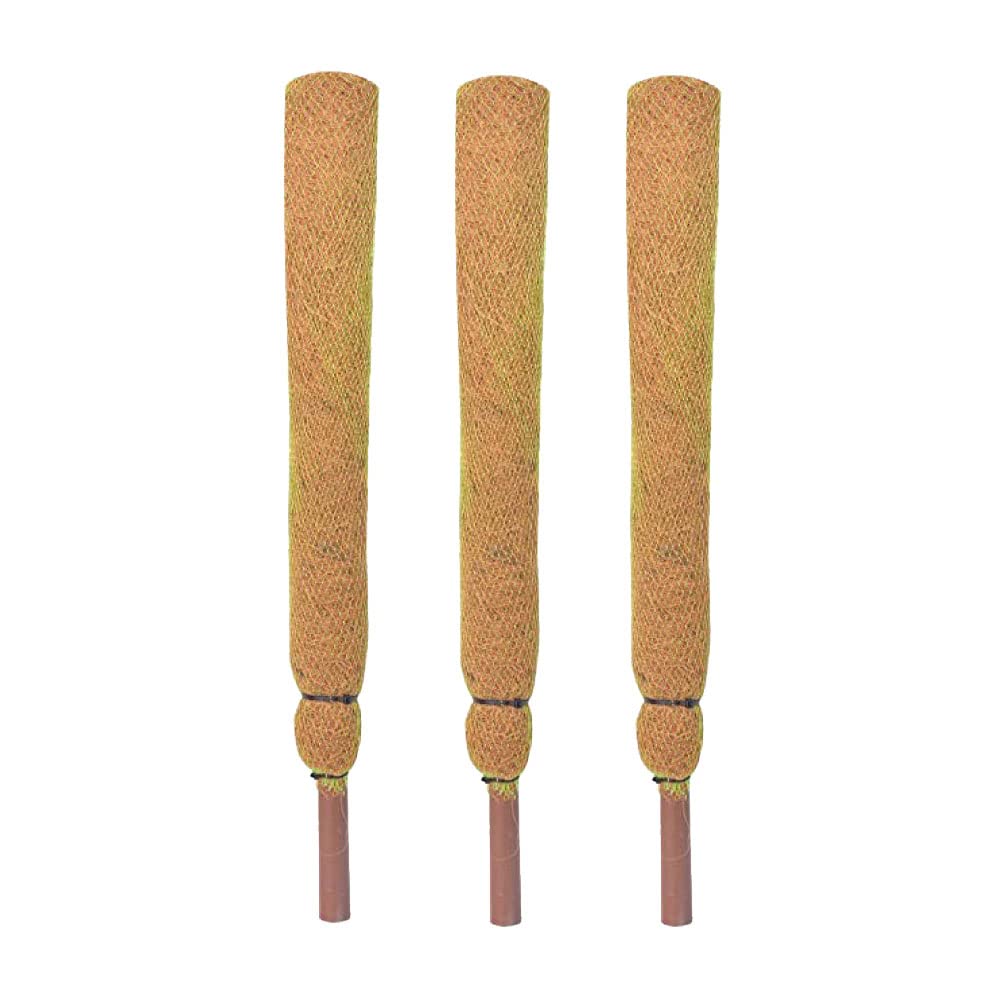 Generic Moss Stick 4 Feet Coco Pole for Climbing Indoor & Outdoor Plants Green Grass Pole for HOUSING Plants, Creeper Support Moss Stick (Pack of 3)-image-43